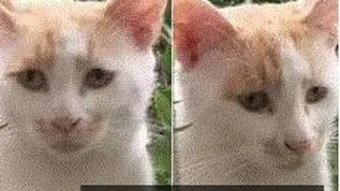 何勇生前生活全记录体育竞猜：一次难忘的乐评人访谈